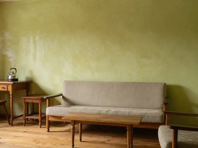 Kalkputz vs. Zementputz: Welcher Wandputz ist wirklich besser für Ihr Zuhause?