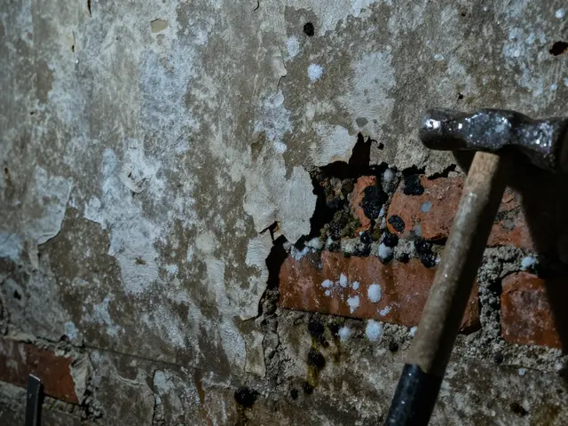 Kellerputz richtig aufbauen: Haftbrücke, Putz & Farbe Schritt für Schritt
