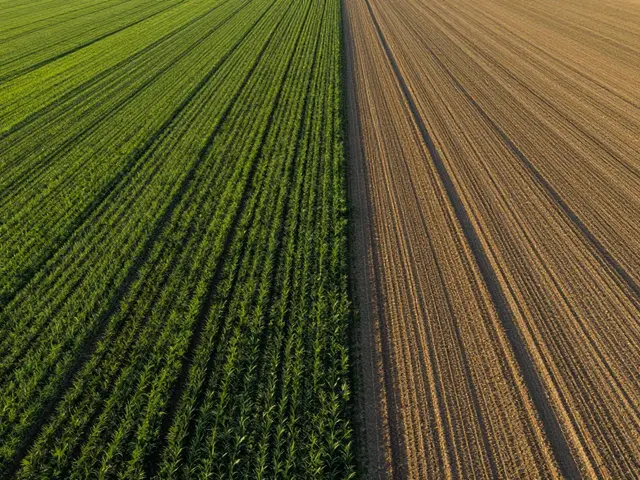 Bewertung landwirtschaftlicher Grundstücke: Pacht, Bodenqualität & Baurecht richtig verstehen